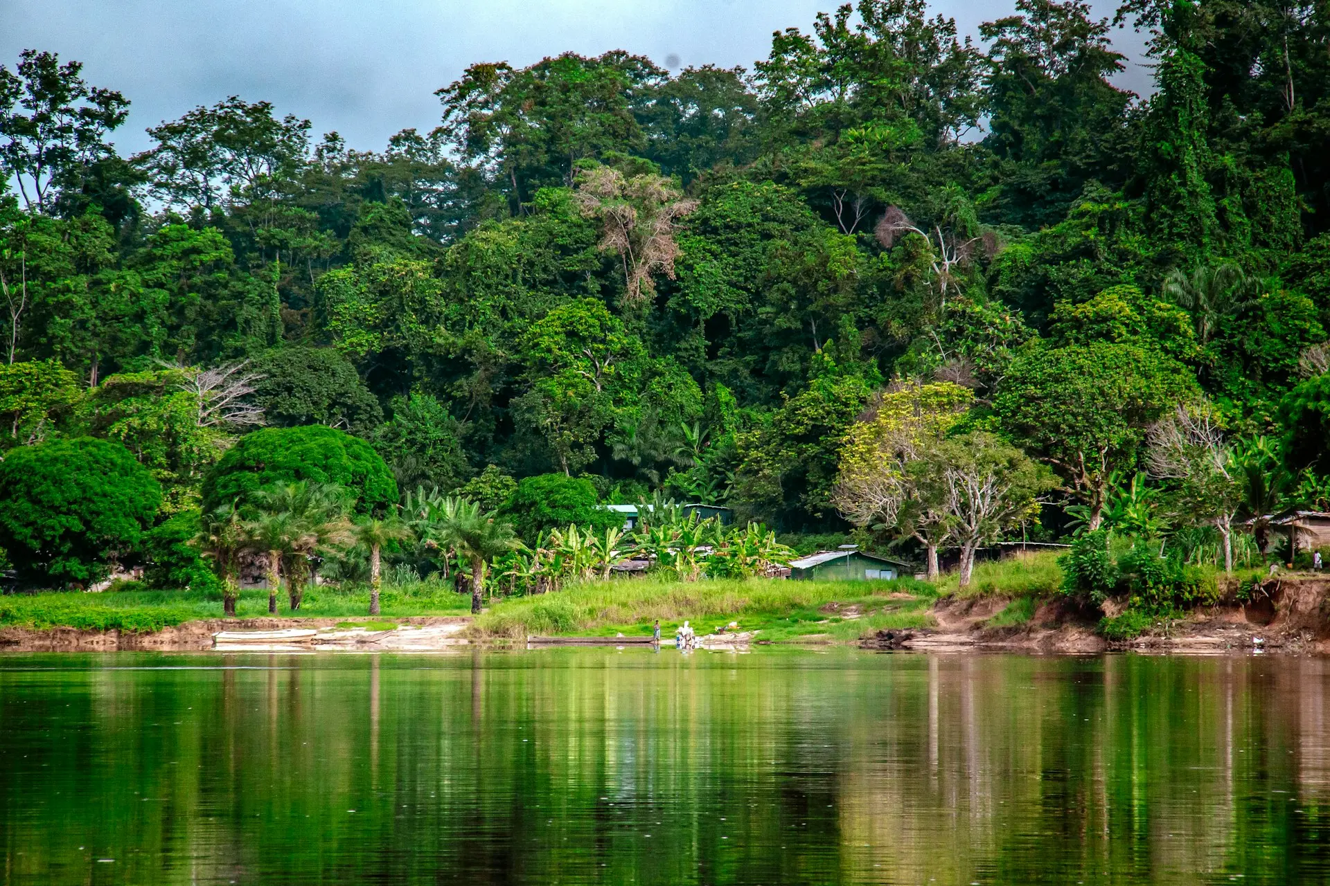 a body of water surrounded by lush green trees